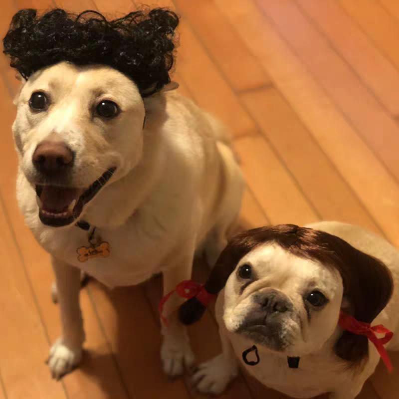 Perruque de déguisement d&#39;halloween pour chien, chapeau de Cosplay amusant, accessoire pour chien, bouledogue français, Chihuahua, d&#39;anniversaire
