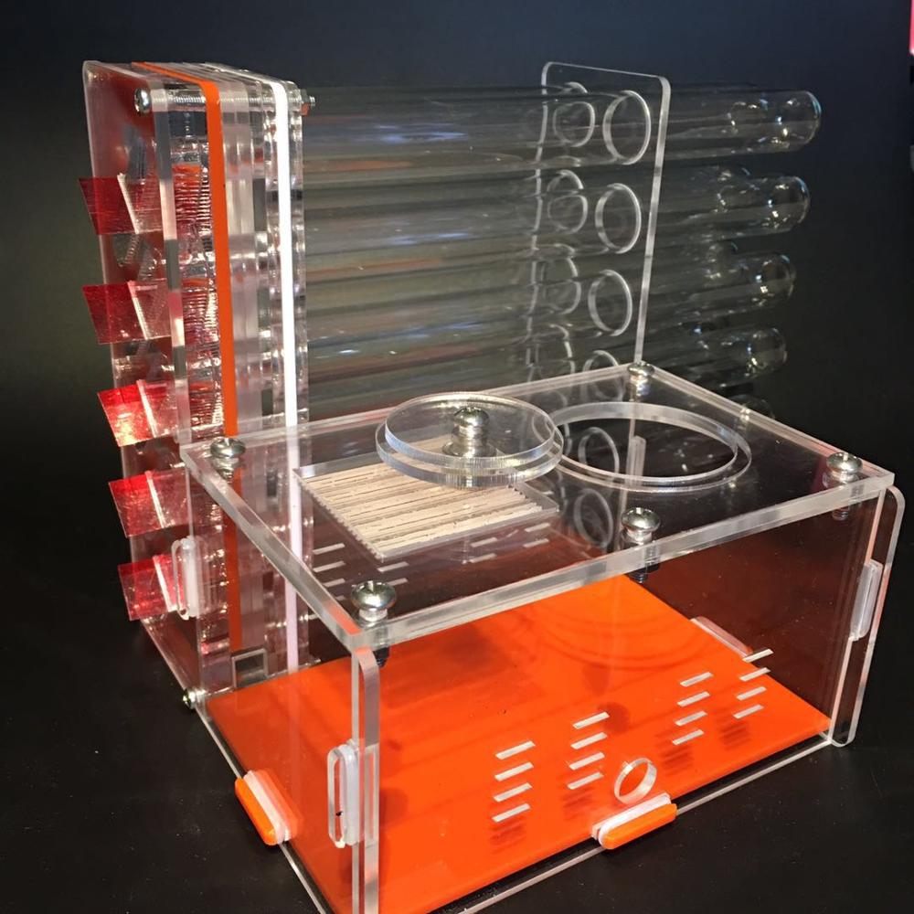 DIY Acrylic Ant Farm 12 Test Tubes Ant House with Feeding Area Ant Nest Workshop Insect Pet Anthill 14*14*15cm: Default Title