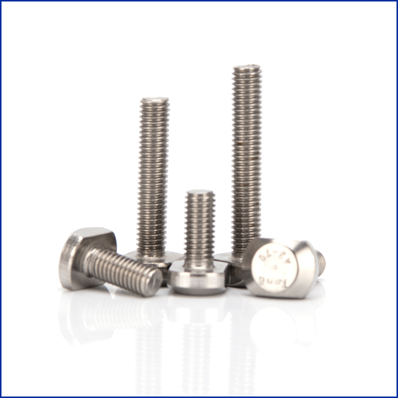 M8 M10 Stainless Steel 304 T-Head Bolts T-Slot Screw Square Bolt T-head Screws T-bolt Solid Fasteners Length 12mm-60mm