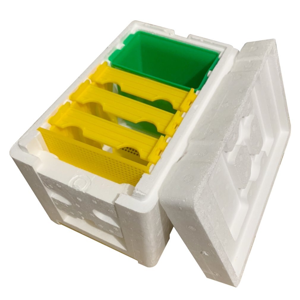 Bee Mating Box Beekeeping Tools Foam Beehive Bee Mating Box Bee Queen Reserve Box Pollination Case Set Breeding Equipment