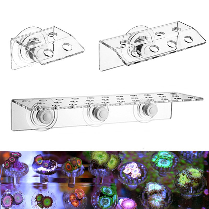 Koralbeslag .sps stik. akryl akvarium saltvand havvand sps koral frag huller beslag akvarium marine tank koral holder