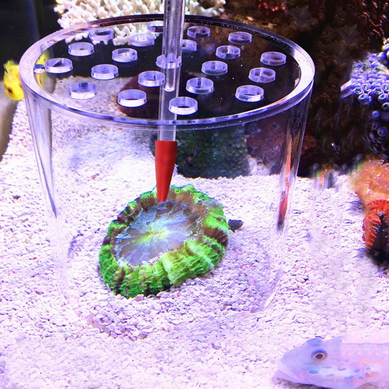 Coral Feeder, Injection Tube of Long Acrylic Feeder, Accurate Distribution Point of Liquid Fertilizer Feeder