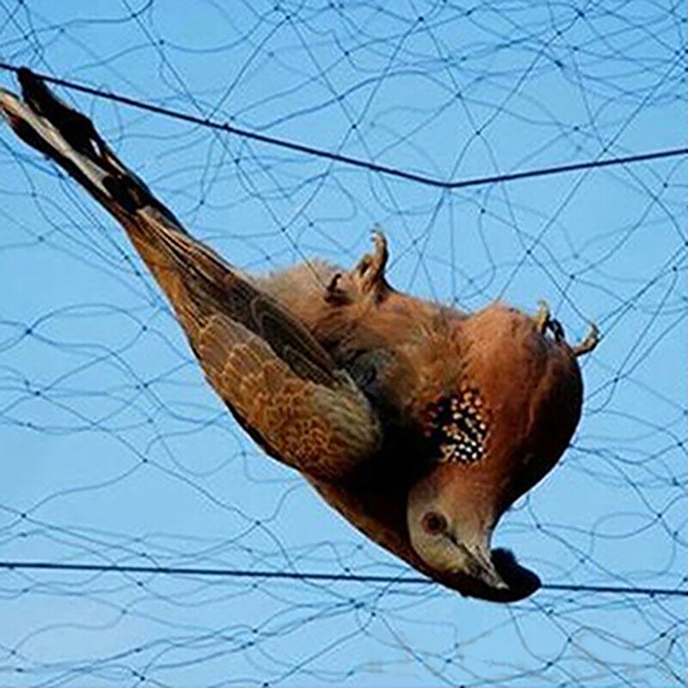 Fuglesikker afgrøde netværk haven plante damme frugt træ mesh beskyttelse haven net forsyninger