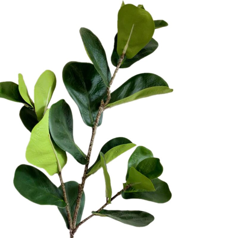 One Artificial Ficus Lyrata Leaf Branches Simulation Green Ficus lyrata Leaf Tree Stems Greenery Decorative Green Plant