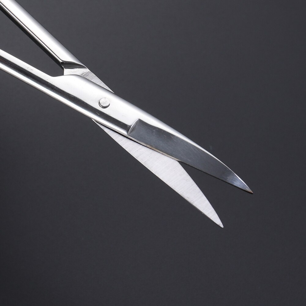 Stainless Steel Eyelids Stickers Scissors Makeup Scissors Facial Nose Hair Scissors Beauty Tool