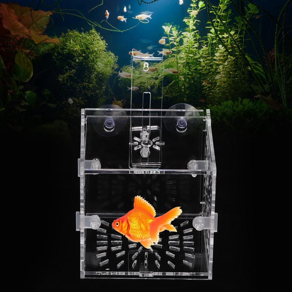 Transparent Acrylic Fish Tank Breeding Isolation Box Aquarium Hatchery Fish Breeding Incubator Holder