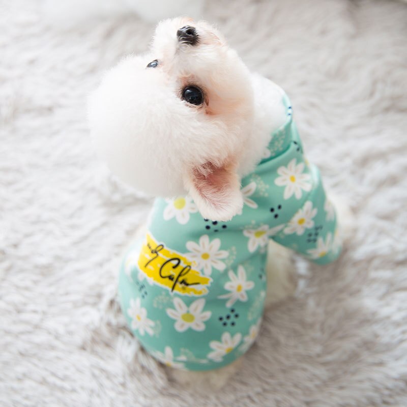 Bonito imprimir pequeno cão hoodie casaco dasiy inverno quente roupas para animais de estimação chihuahua moletom filhote de cachorro gato pulôver cães animais de estimação roupas