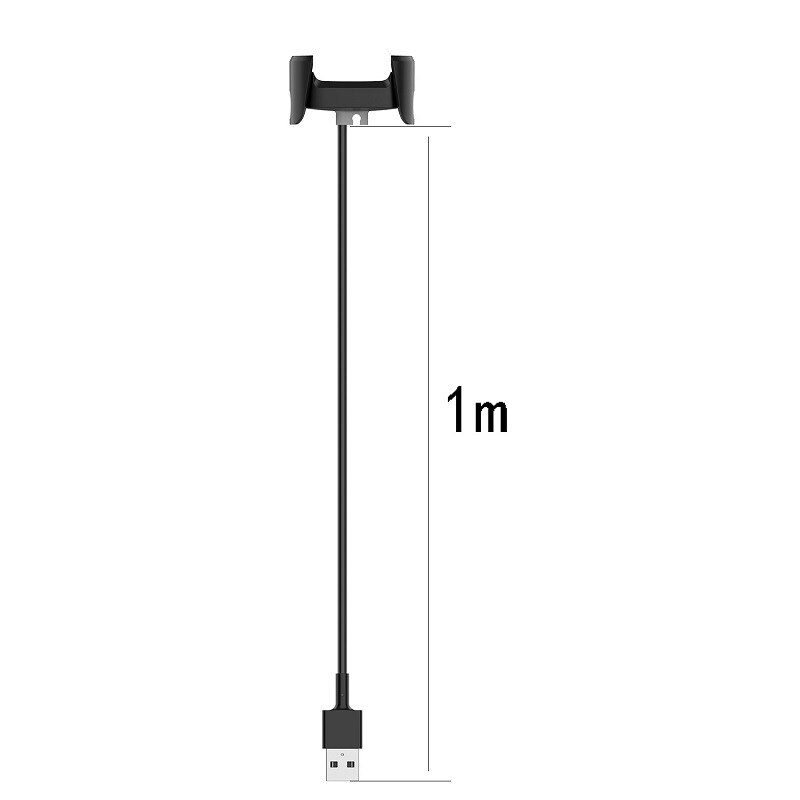 Chargeur USB remplaçable pour montre connectée Fitbit versa/versa lite, 10 pièces/paquet, câble de chargement pour Fitbit versa/versa lite