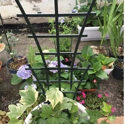 1pcs DIY Plant Support Frame Pot Bracket stand Climbing Flower Fixed Plant growth direction for Garden vines fastener macrame