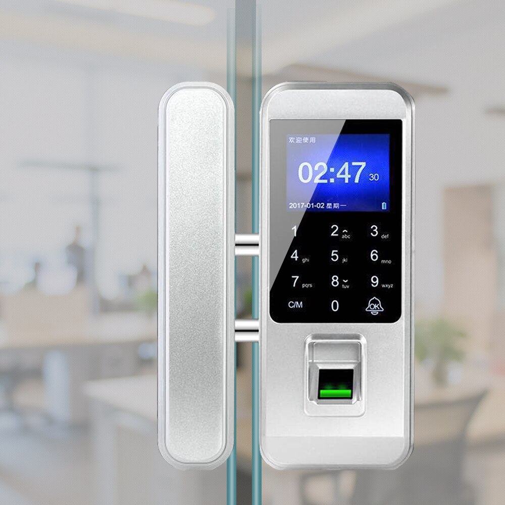 Fingerprint electronic door lock Office single/double door password lock fingerprint touch lock access control system
