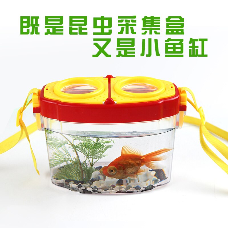 Insect Box Collector Observatie Doos Capture Tool Terrarium Zijderups Goudvis Regenworm Ant Nest Slak Doos Transparant Draagbare