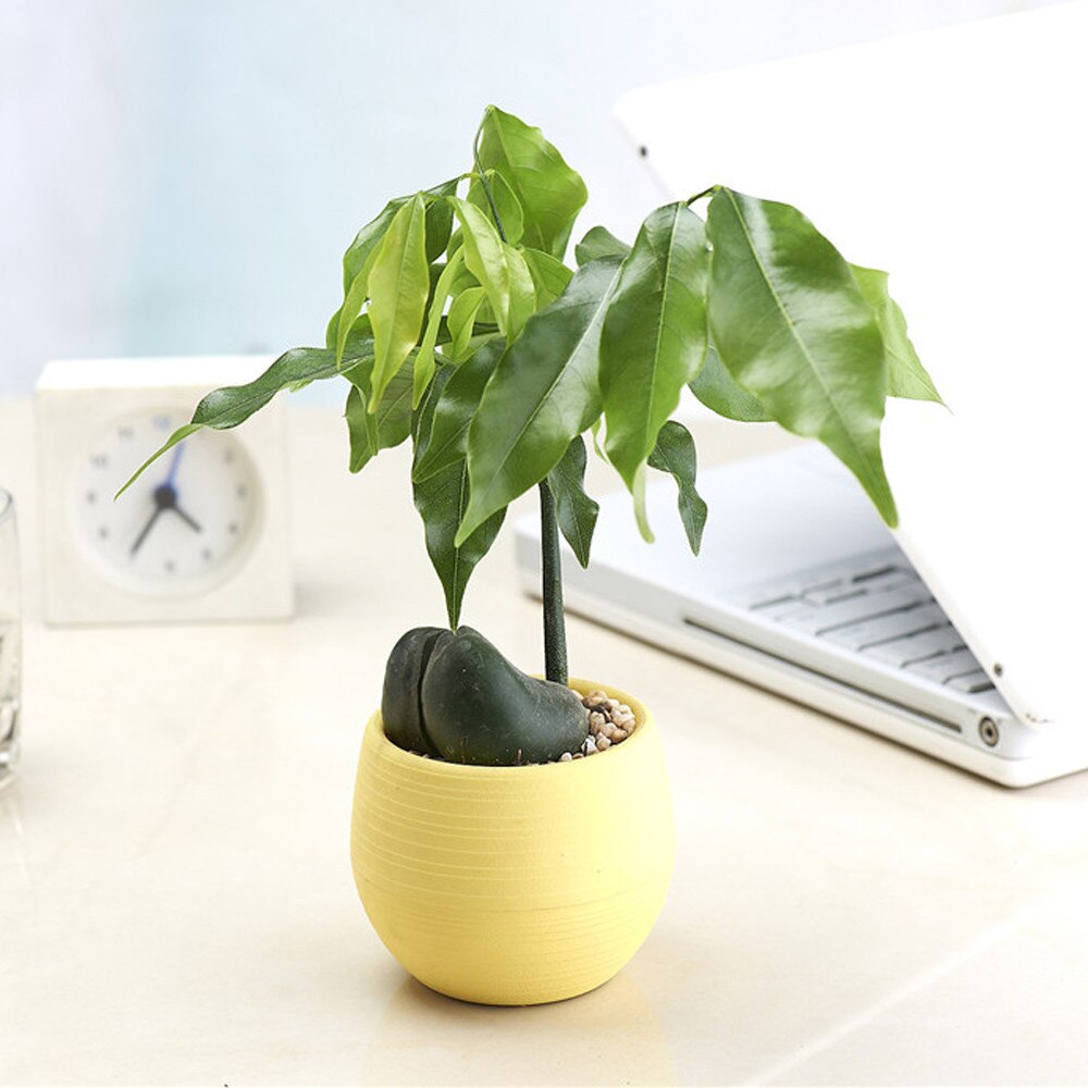 Eco-friendly Colourful Mini Round Plastic Plant Flower Pot Garden Home Office Flower-Pots Planter Floor-Decoration Plan