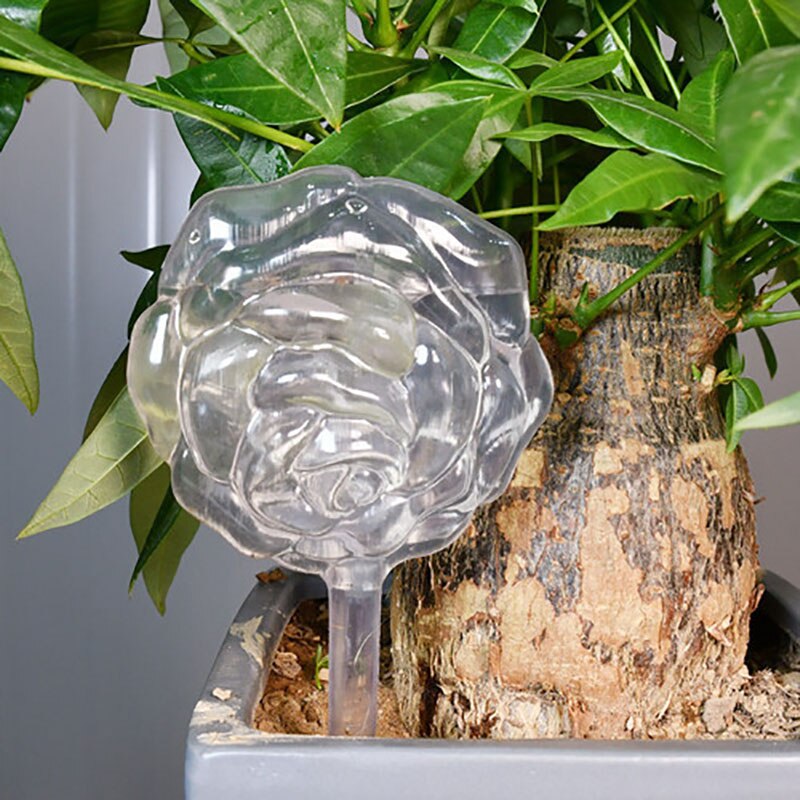 Pvc/glas självbevattningsanordningar växt blommor vattnare fågelstjärna hjärta vattenmatare automatisk vattning för inomhusträdgård: Pvc ros