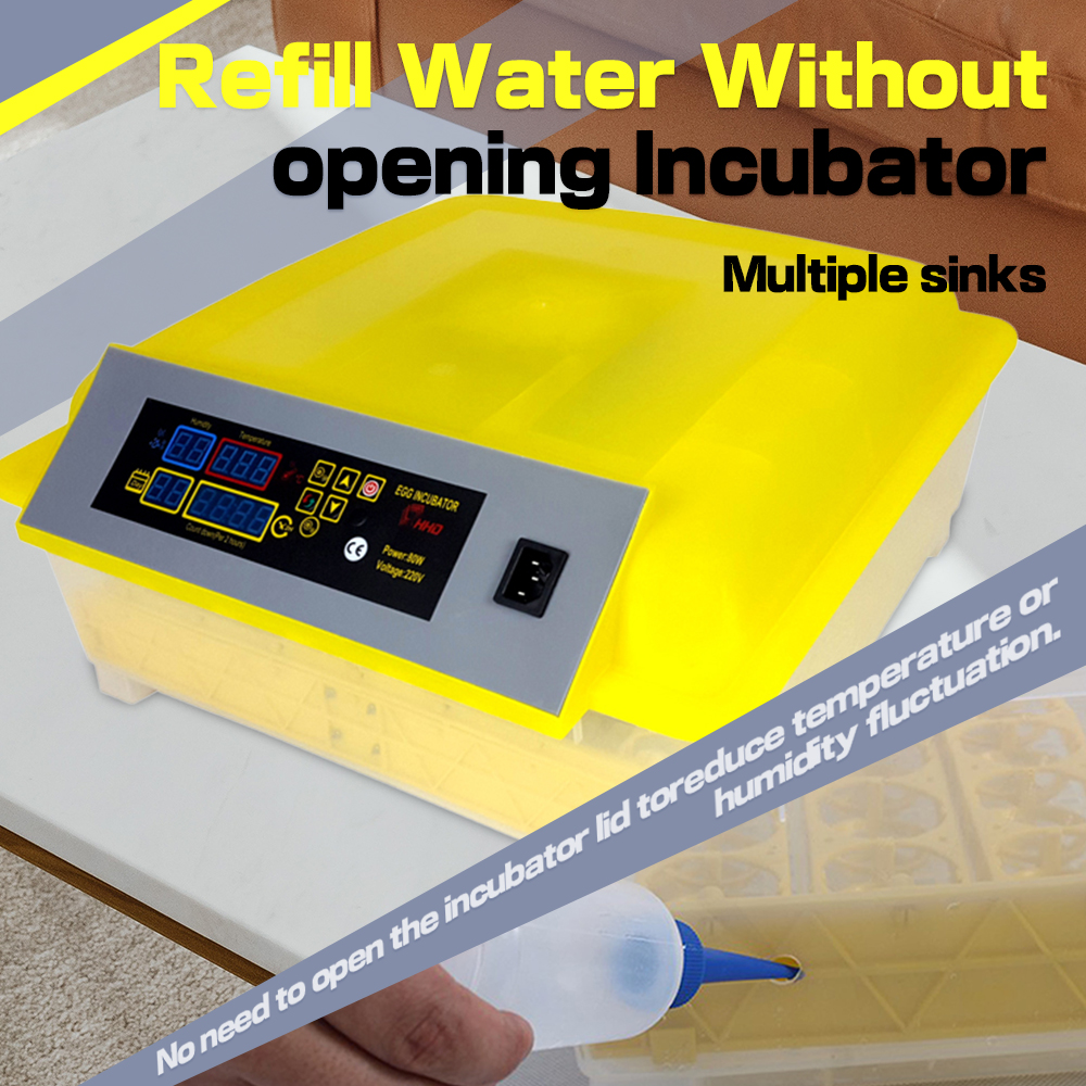 Gevogelte Volautomatische Uitbroedmachine Voor 48/56 Kip Eend Ganzeneieren, Digitale 12V 110V 220V Voeding Ei Incubator