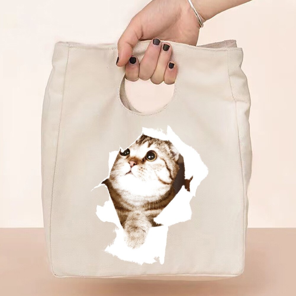Gecontracteerde Stijl Geïsoleerde Lunch Tas, Duurzaam Bento Pouch, Thermische Lunch Box, Cooler Tassen, kat Print Lunch Container Bag: 5Cat004