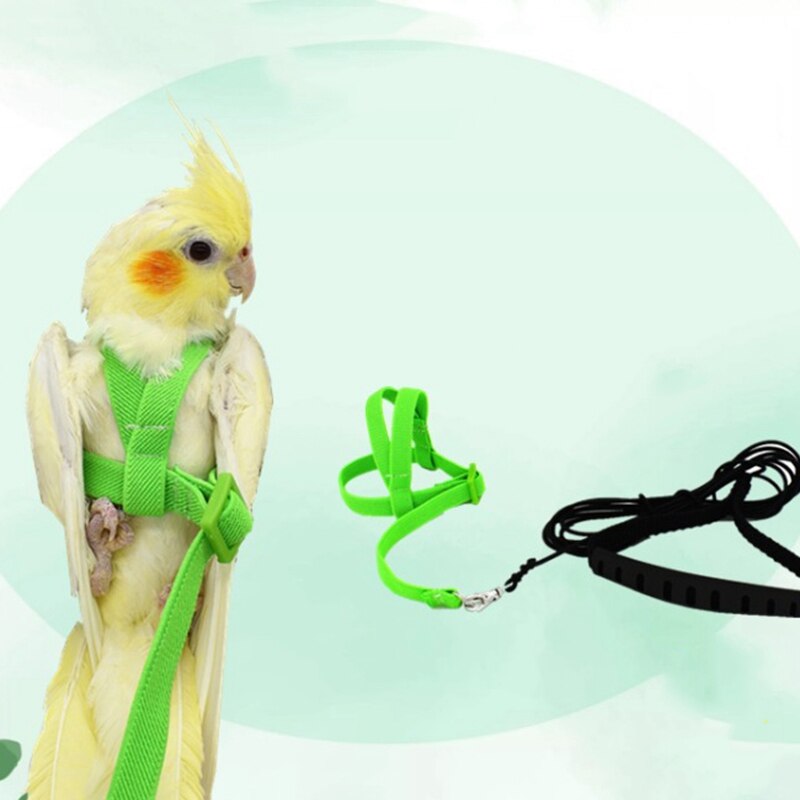 Grøn kæledyr papegøje fugl sele bælte flue reb bælte udendørs træning trækkraft reb undulat papegøje fugl