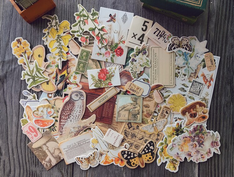 Suuret numerot kukkalinnut valmiiksi leikattu kortti scrapbooking kollaasi materiaali paketti tee itse romulehti tausta koristepaperi: Kasveja
