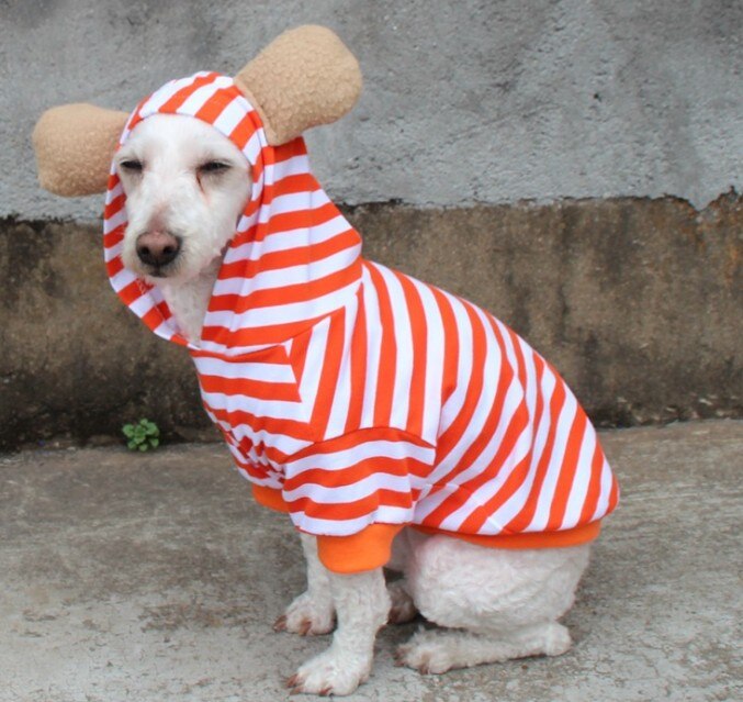 [& mpk butik] husdjur hund fransk bulldog kläder orange rand med dragkedja, hund kläder, sällskapsdjur kostym: Orange tunn / S