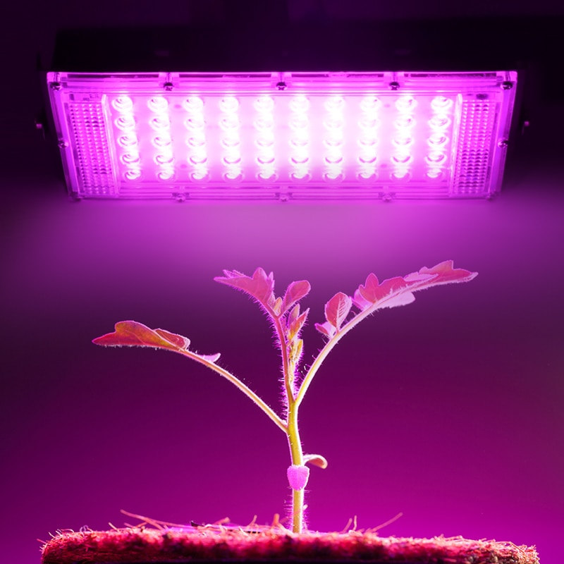 50W LED Plant Grow Light Lamp AC 220V Full Spectrum LED Plant Floodlight Greenhouse Plant Hydroponic Plant Spotlight