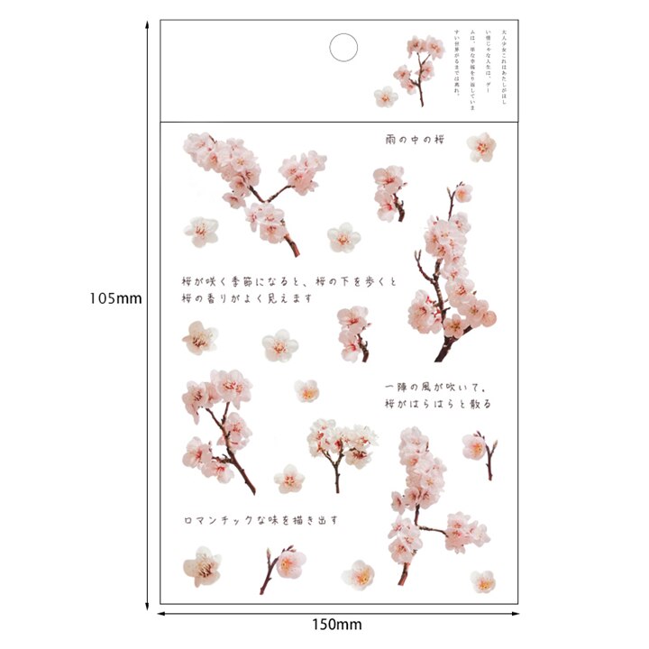 Kokorosa12 Designs Natural Daisy Clover Japanese Words Stickers Transparent PET Material Flowers Leaves Plants Deco Stickers: Coffee