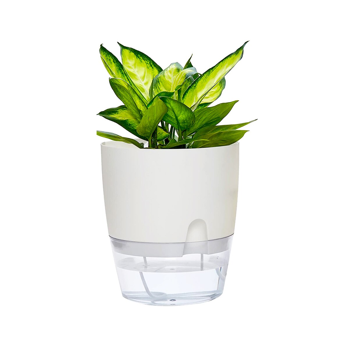 2 Layer Watering Planter Lazy Self Watering Pot Automatic Succulent Container for Flower Plant Indoor Supplies White Gray: white 15.3cm