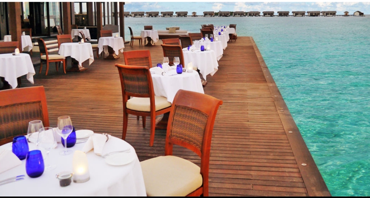 bar lys klubb reklame salong offentlig hus virksomhet qr logo wifi passord annonsere lys nattklubb restaurant hotell motell