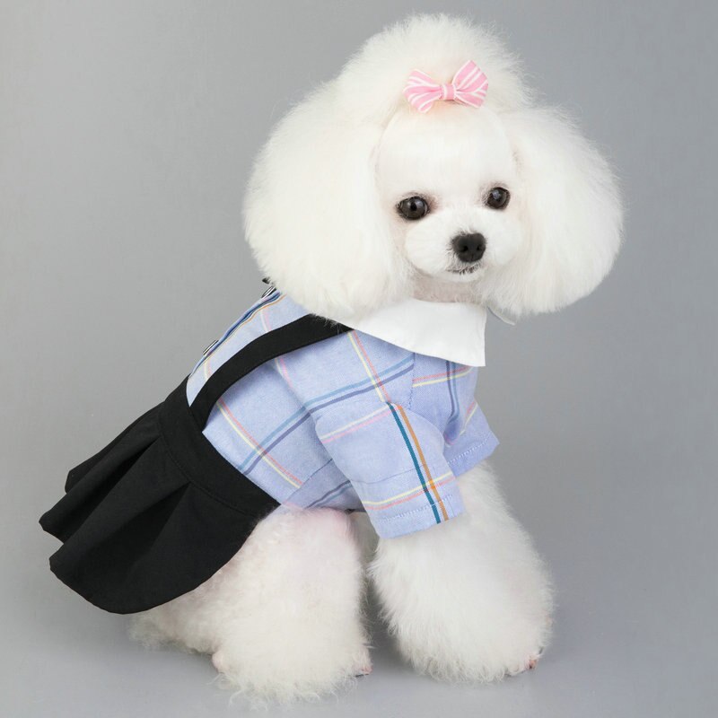 Sommer kæledyr hund bukser mælk hund tøj elskere bamse hunde tøj hvalpe hundedragter små hunde outfits kæledyr hund jumpsuit