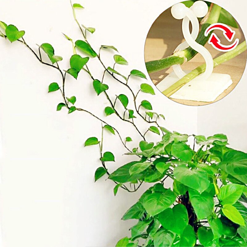 150Pcs Invisible Wall Vines Fixture Wall Sticky Hook Climbing Vine Plant Fixer Home Balcony Garden Decoration Holder M