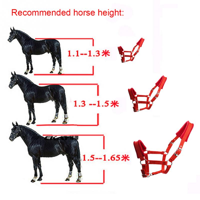 Dobbelt lag hest grime ridning udstyr beskyttende justerbar rem udendørs fleece polstret praktisk flere størrelser tykkere