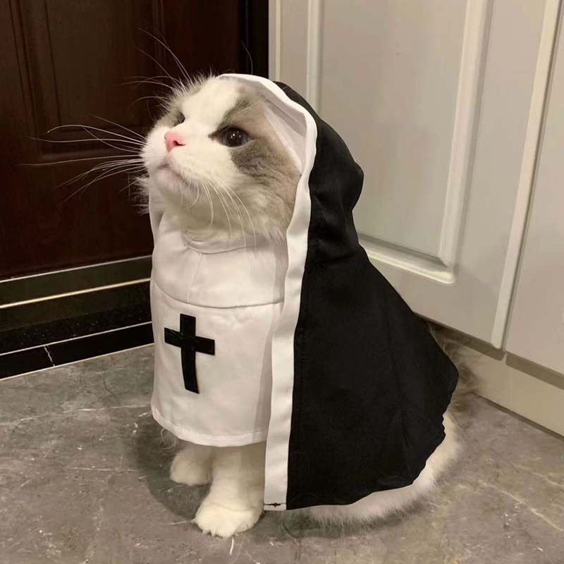 Disfraz de monja y gato, ropa para mascotas, ropa para perros pequeños, transpirable, divertido, , Festival, accesorios para fotos, accesorios para perros
