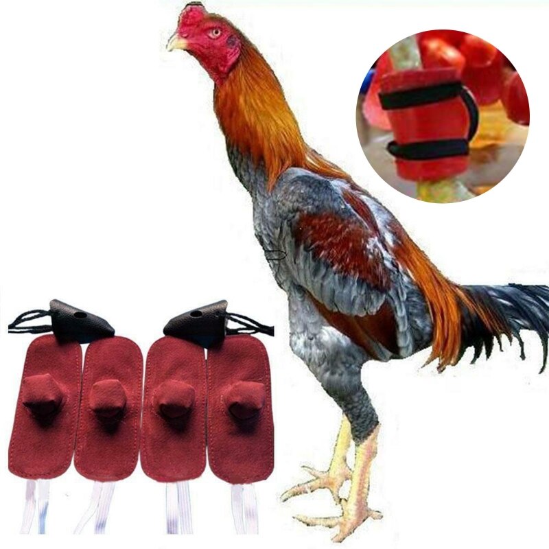 517E – mitaine coq en cuir, Kit d&#39;outils de combat Gallos, fournitures de Protection de combat pour poules, animaux de ferme, accessoires de poulailler