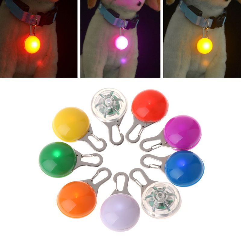 Pendentif pour animaux de compagnie lampe de poche LED de sécurité collier lumineux chiot chiens chat lumineux identifier
