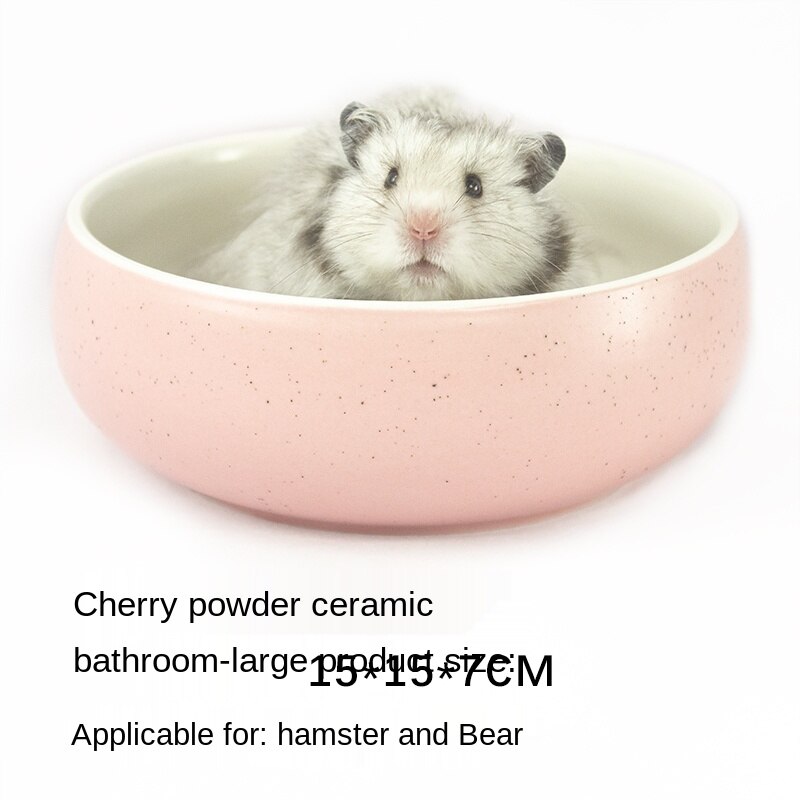 Hamsters Met Hoeden Hamster Met Een Schattge Hoed De Hamsters Met Hoeden Hamster Met Een Schattge Hoed De