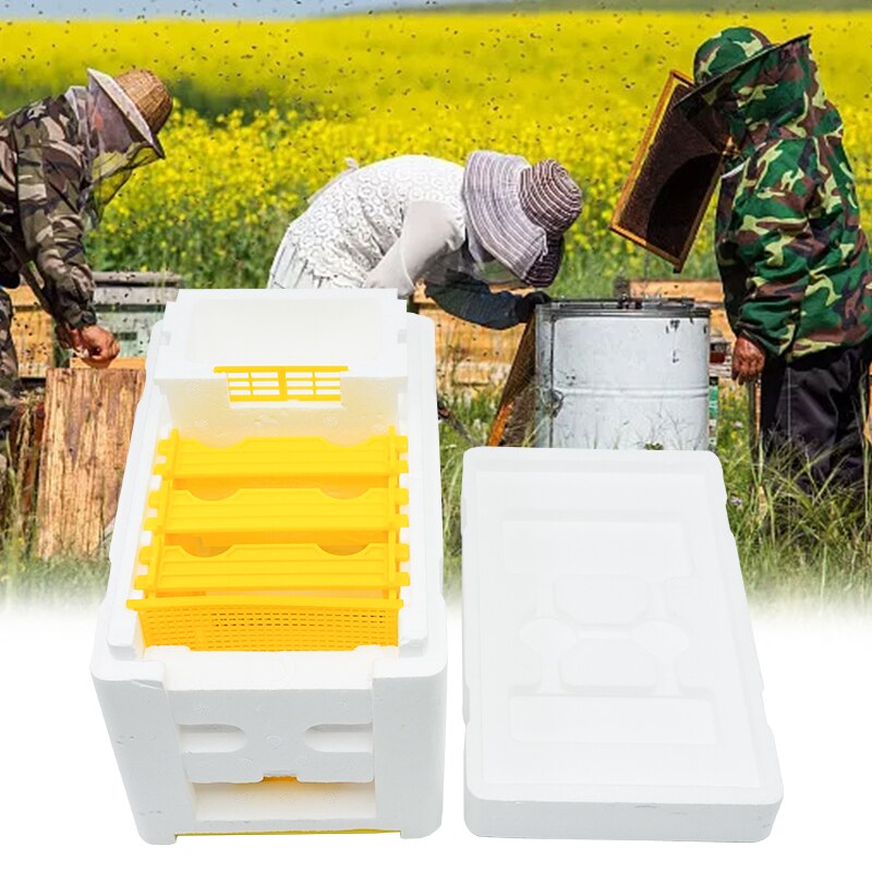 5 Pcs Beekeeping Equipment Bee Tools Beekeeping Eq... – Grandado