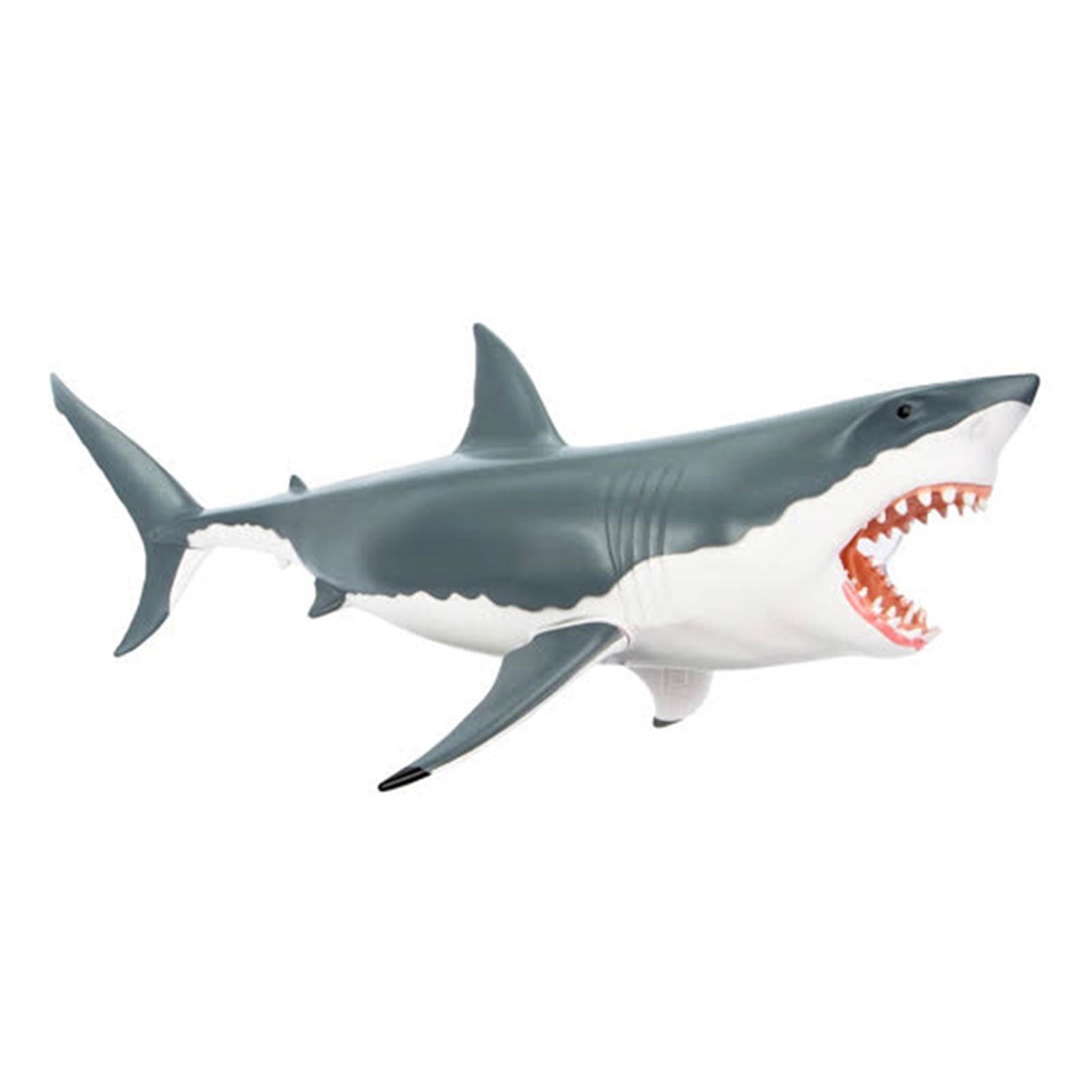 4D Gemonteerd Speelgoed Set Simulatie Dier Grote Haai Anatomie Model Childrens Veterinaire Speelgoed Set Educatief Speelgoed Voor Kinderen