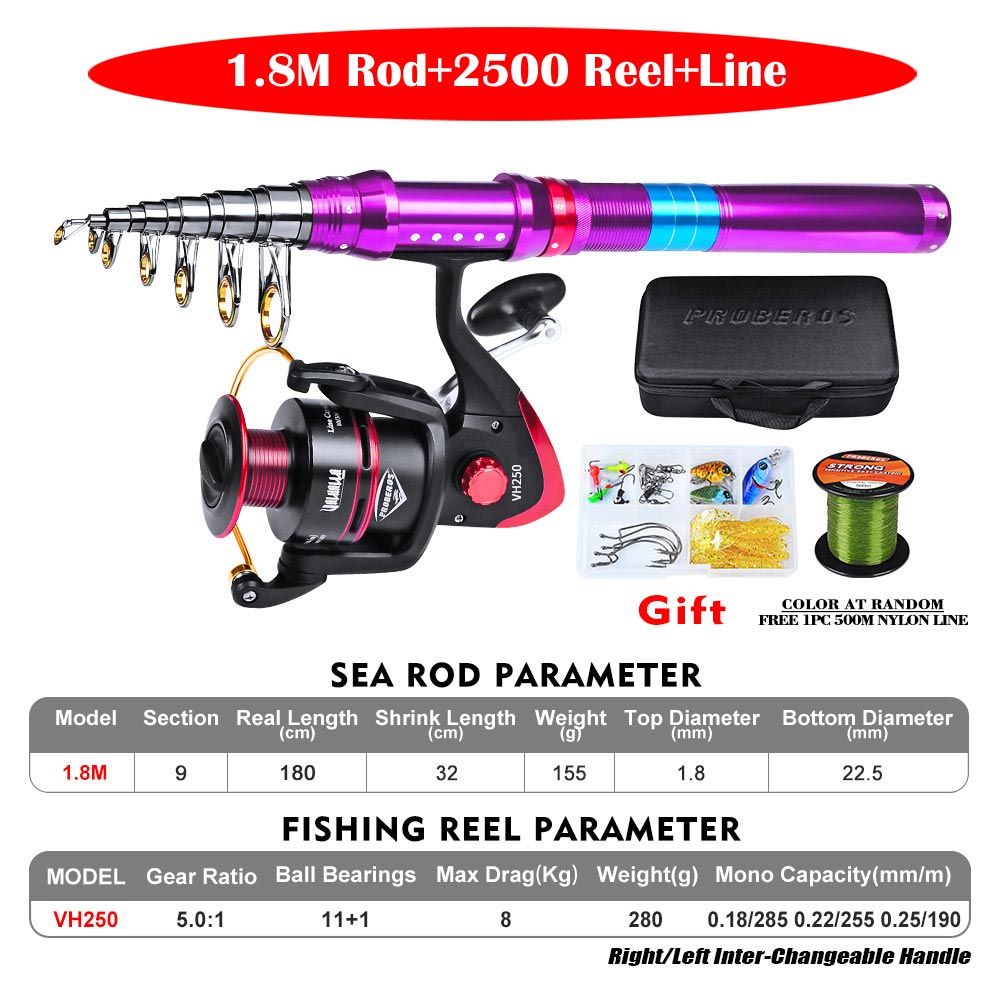 Good Reel Combo Telescopic Fishing Rod Spinning Wheel Fishing Tackle Set with Line Hooks Lures Storage Bag Tool Peche: A