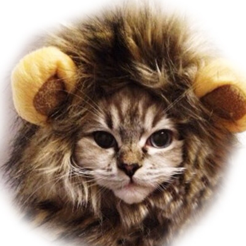 Accessori per copricapo per cuccioli di gatto accessori per parrucca di leone imitazione di animali domestici per gatti e cuccioli per vestire forniture di copricapo interattivi: Motley