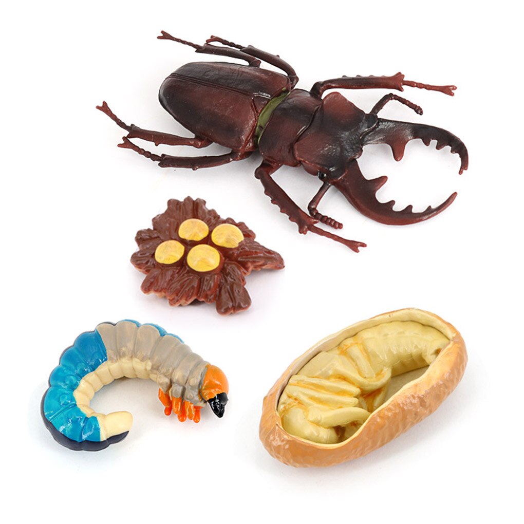 1 set spatenwurm-modell aus simuliertem kunststoff, detailgetreue insektenfiguren, interessante, naturbezogene wachstumsmodelle