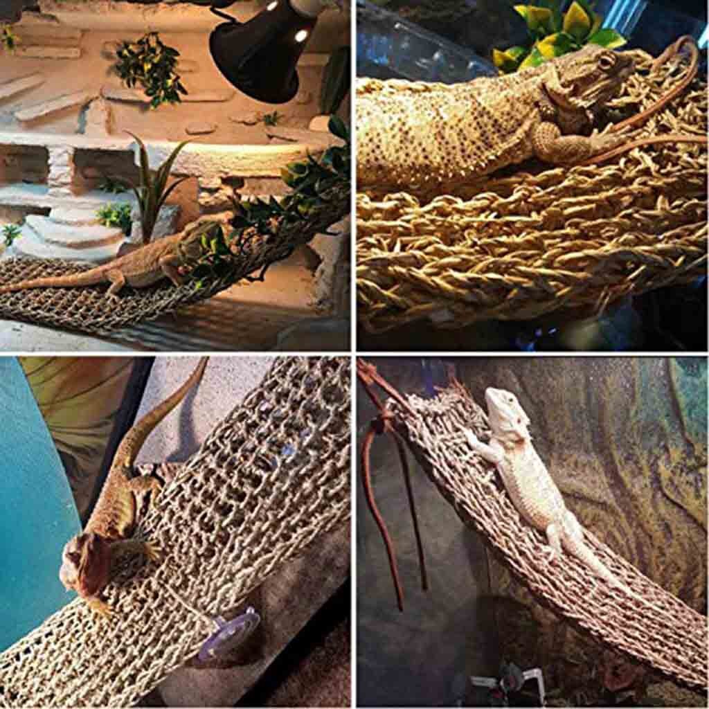 Lizard Hammock Bask Platform Bearded Dragon Iguana Rat Reptile Toy