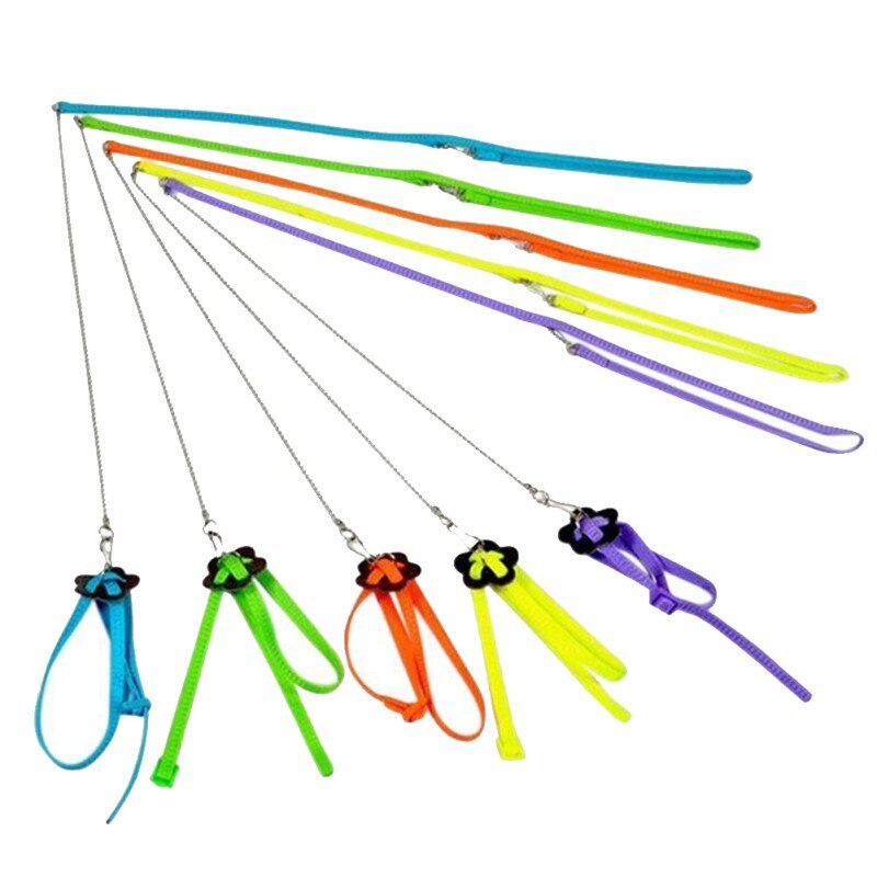Parrot Bird Belt Outdoor Adjustable Harness Training Rope Portable Training Pet Parrot Bird Supplies Pigeon Rings zh1