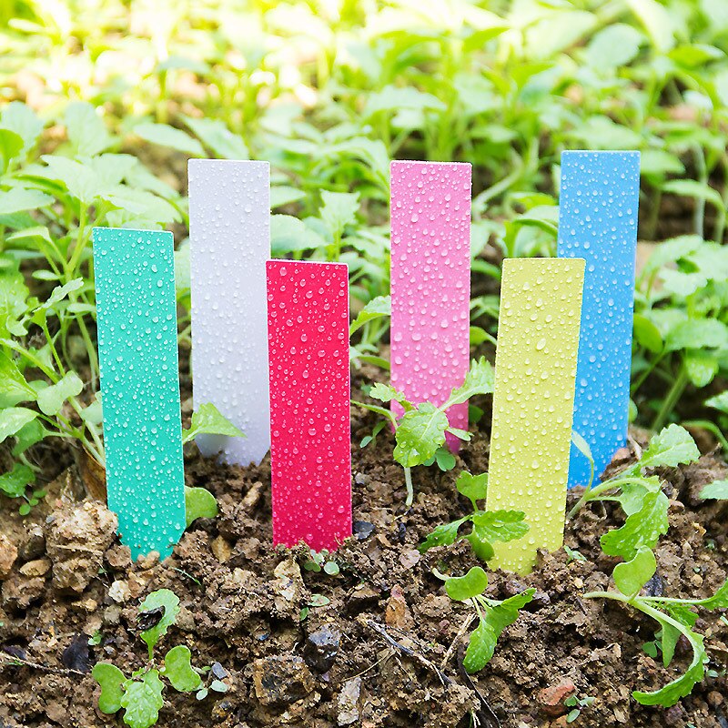 100 stk plastik havemærker ornamenter plante blomst etiket børnehave tyk tag mærker til planter havedekoration