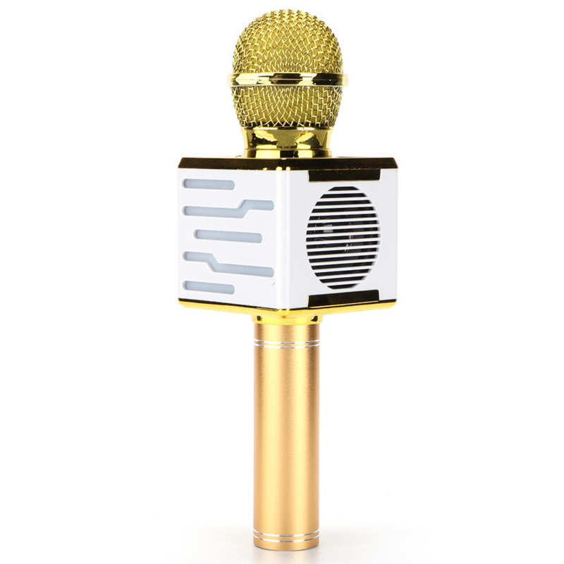 Microphone Portable sans fil, 5V DC, avec de réverbération, pour le chant