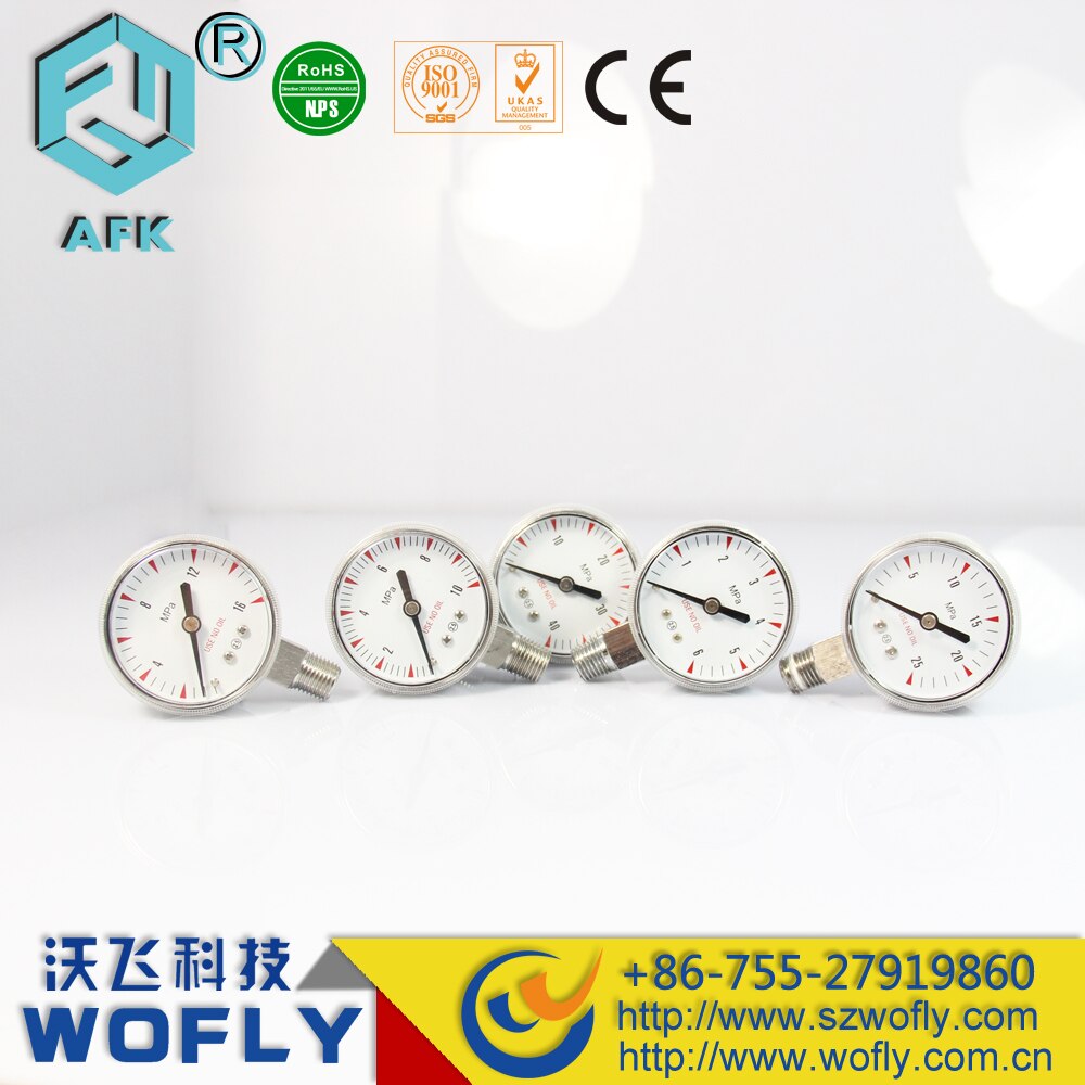 1/4"NPT Stainless Steel Gas Pressure Gauge Bottom Connection