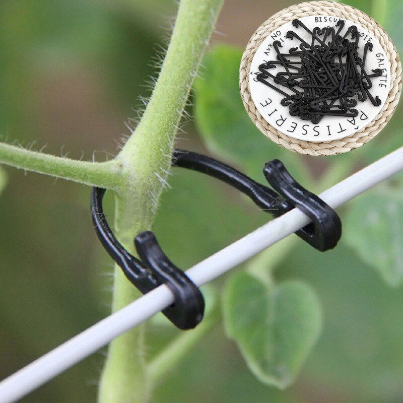 Clip de plástico para plantas de viñas, Clip de sujeción para plantas de viñas, pinzas de sujeción para verduras, Herramienta de sujeción para jardín, 50 Uds.