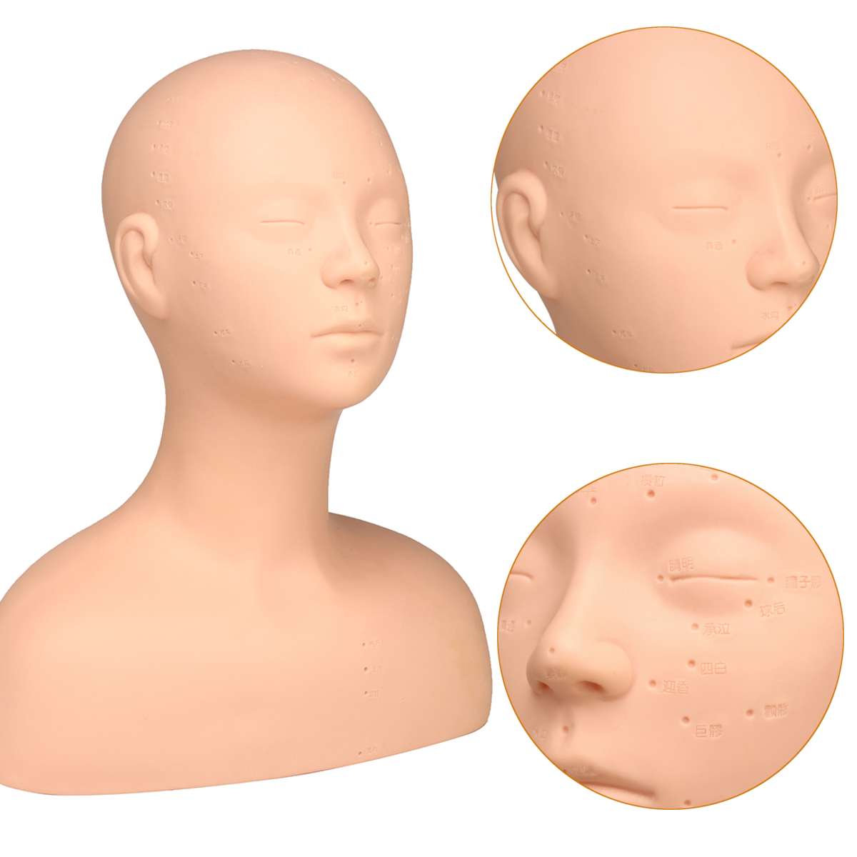Demi tête factice tête de Mannequin avec épaule Acupoint Acupuncture Massage maquillage Extension de cils pratique modèle tête