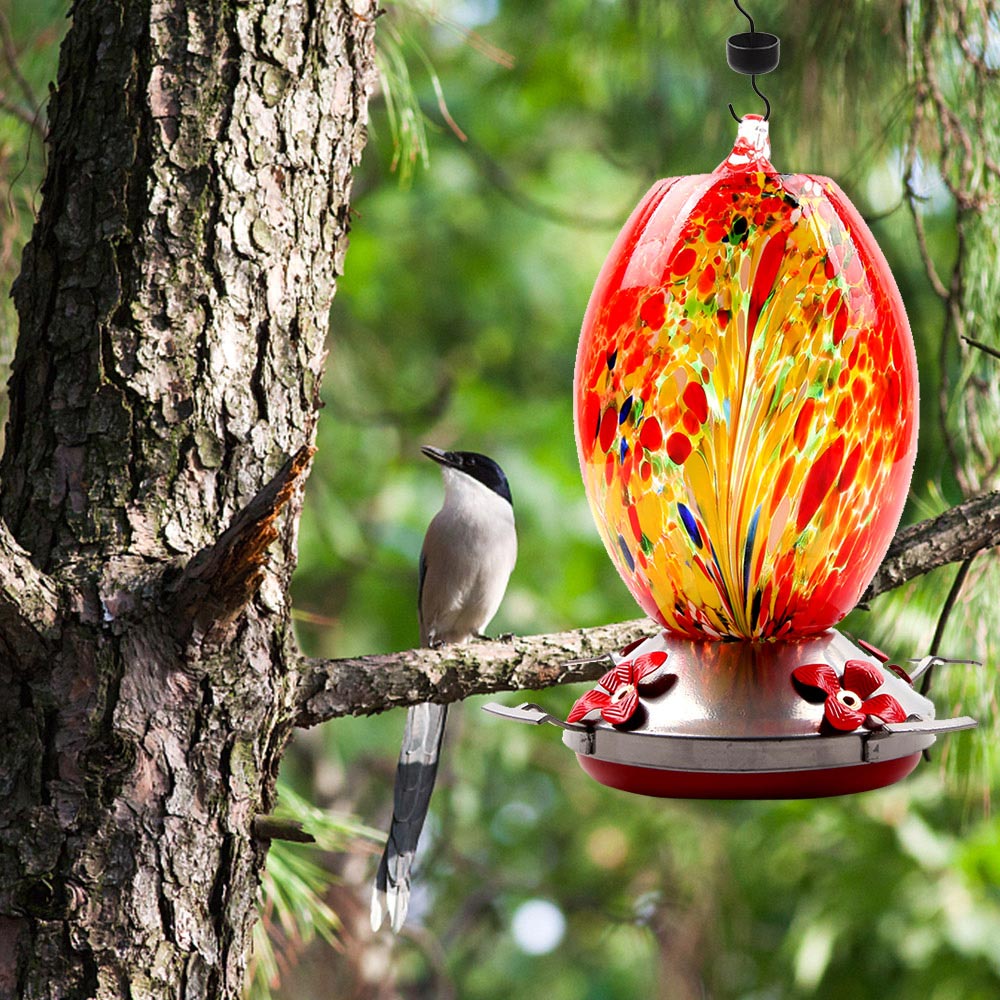 Alimentador de agua de pájaro colibrí de Metal de vidrio, botella colgante, bebedor y alimentador de colibrí, gancho de jardín al aire libre, suministros de alimentación de aves