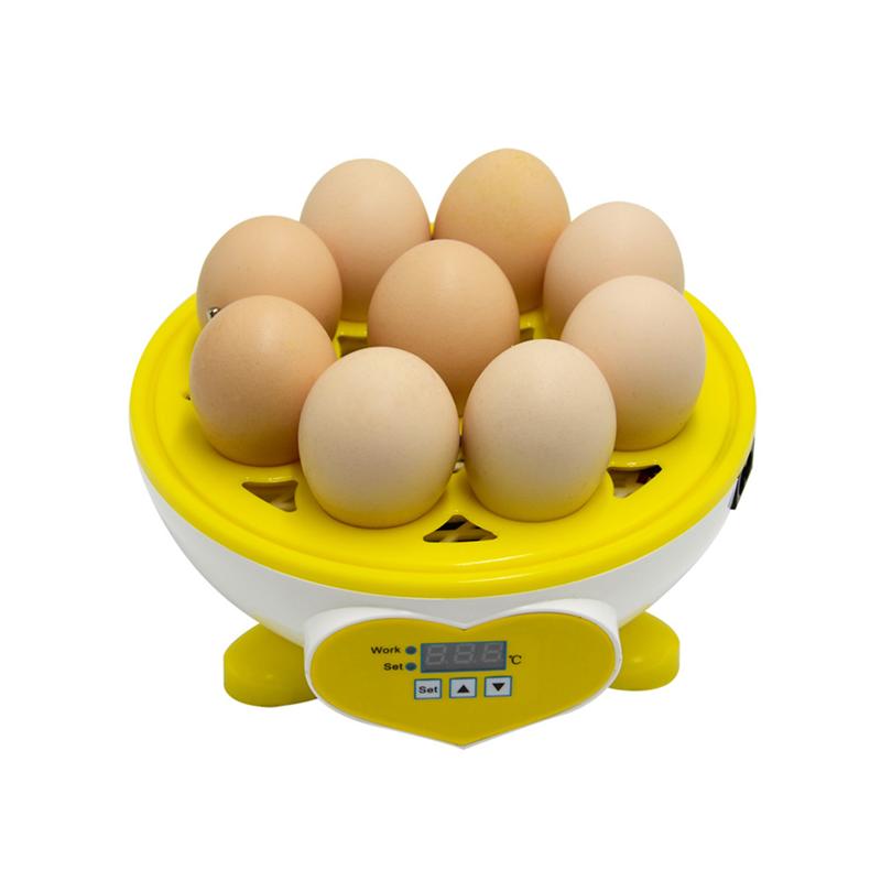 1 sæt holdbart mini halvautomatisk æg fjerkræ klækker til gårdskylling hjemme