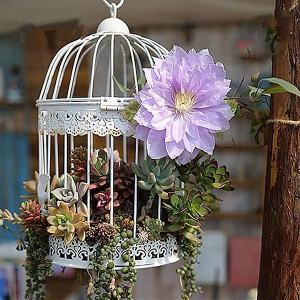 Romantisk fuglebur ramme tråd saftig pot bryllup diy dekoration 7.5cm – Grandado