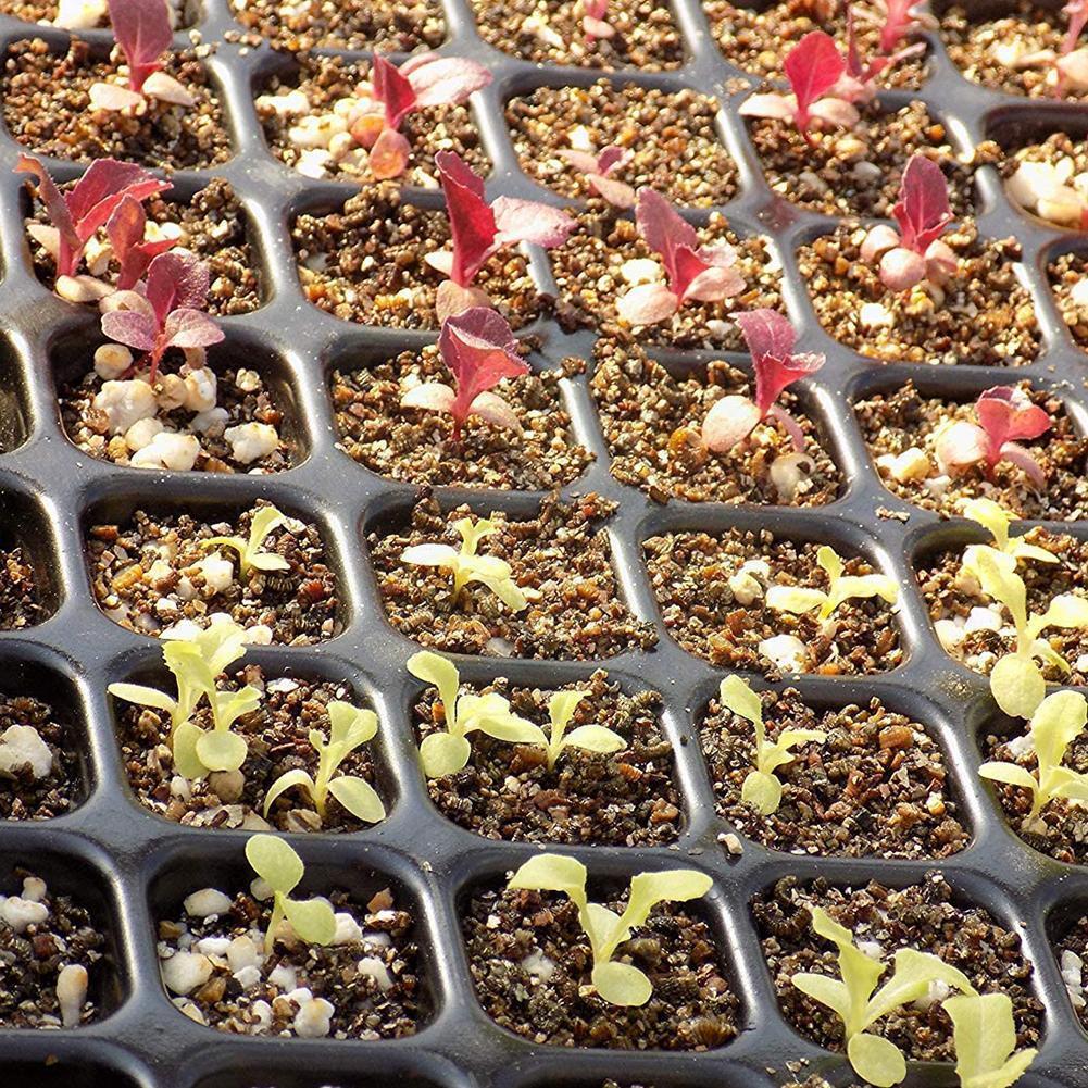 Plateau de démarrage de semis en plastique 105/128 trous, Pot de fleur de jardin, boîte de pépinière, bouchon de plantation, fourniture de plateau de croissance, Cont A4E3