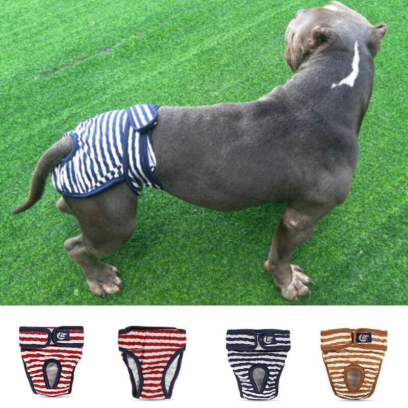 Hund Physiologischen Hosen Hunde frauen Belästigung kurze Hose Höschen für Weibliche Hunde Katzen Menstruation rutscht Unterwäsche Kleidung